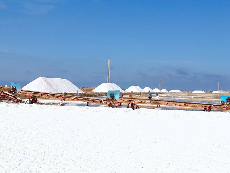 SA.NI.MA. Sale di Trapani Storiche Saline Galia