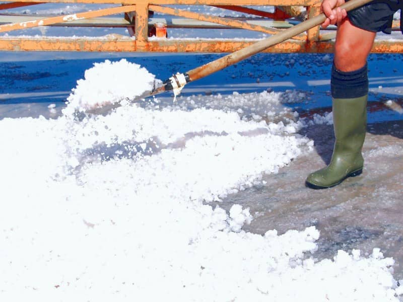SA.NI.MA. Sale di Trapani Storiche Saline Galia