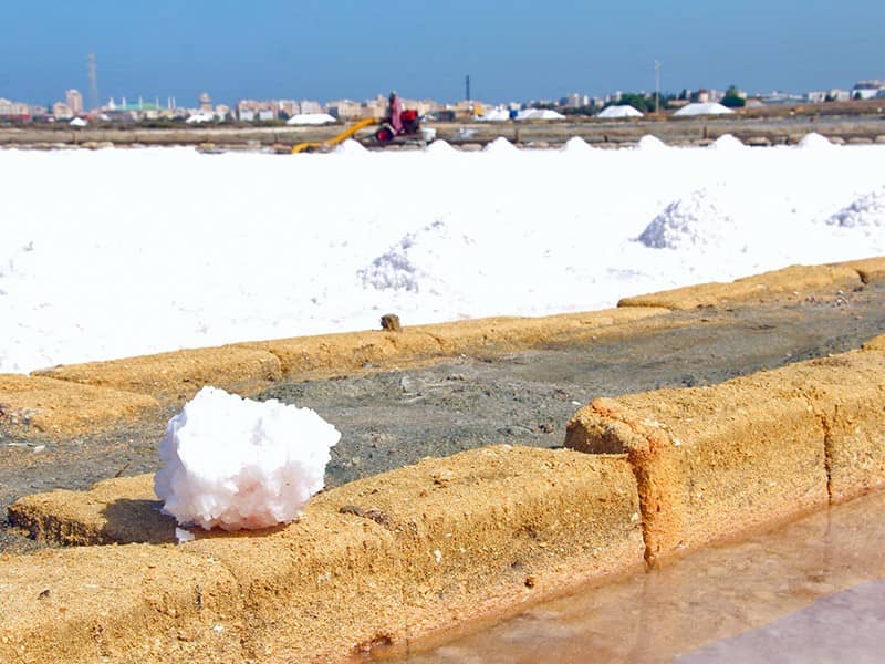 SA.NI.MA. Sale di Trapani Storiche Saline Galia riserva saline