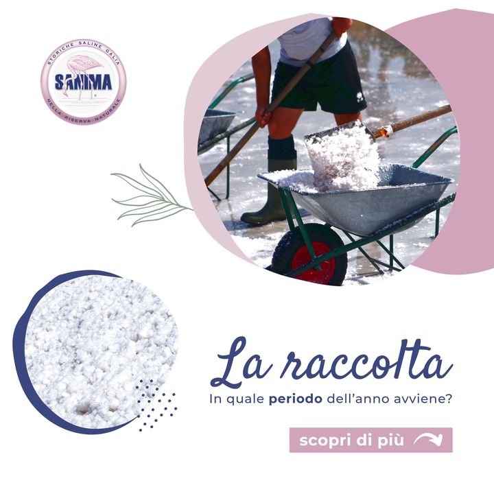 ✨ SA.NI.MA - La raccolta ✨