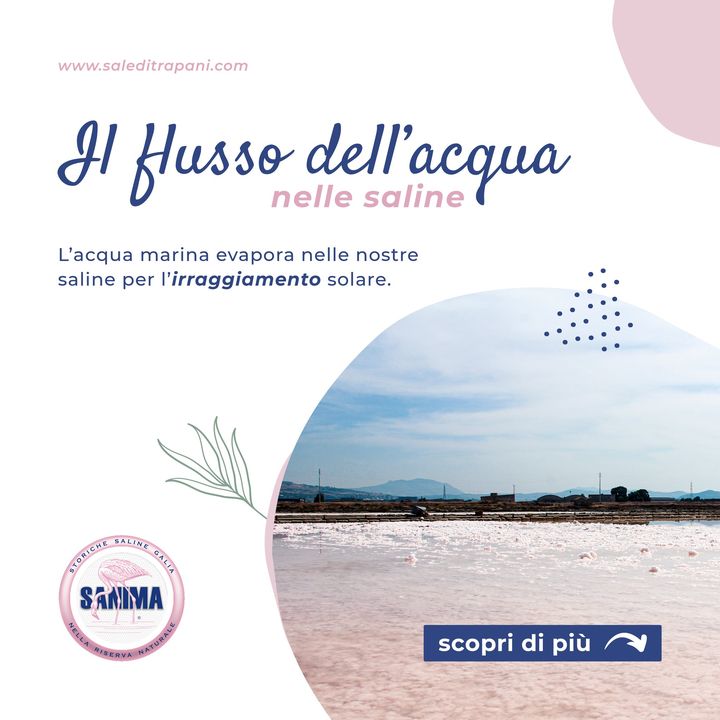 ✨ SA.NI.MA - Il flusso dell'acqua ✨